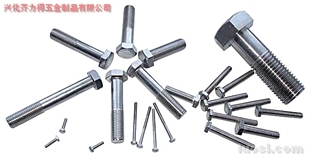 供應:316L 外六角螺栓,華人螺絲網提供各種供應:316L 外六角螺栓報價、價格、生產廠家、供應商-興化齊力得五金制品